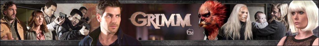 Bannière du quartier Grimm